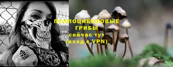 a pvp Зерноград