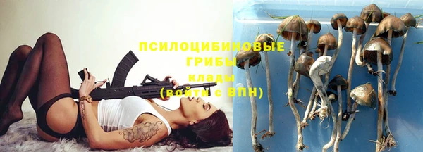 тгк Зеленодольск