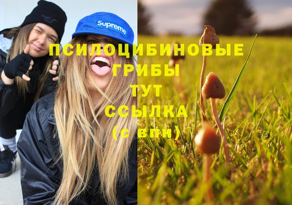 мдпв Нестеровская