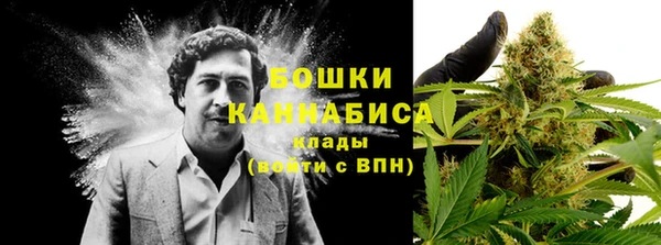 тгк Зеленодольск