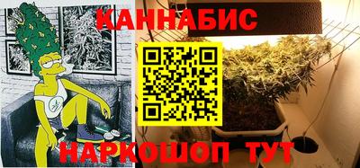 прущие грибы Кандалакша