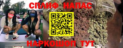 прущие грибы Кандалакша