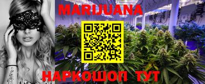 прущие грибы Кандалакша