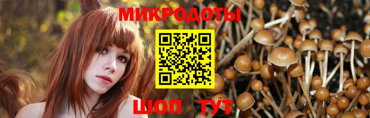 Саяногорск  Псилоцибиновые грибы Psilocybine cubensis  Вход с VPN  цены наркотик  Галлюциногенные грибы Psilocybe 